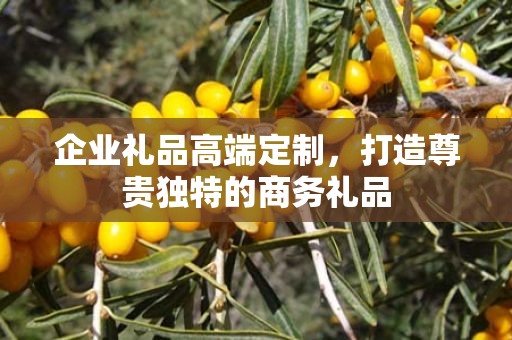 企业礼品高端定制，打造尊贵独特的商务礼品