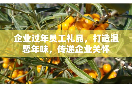 企业过年员工礼品，打造温馨年味，传递企业关怀