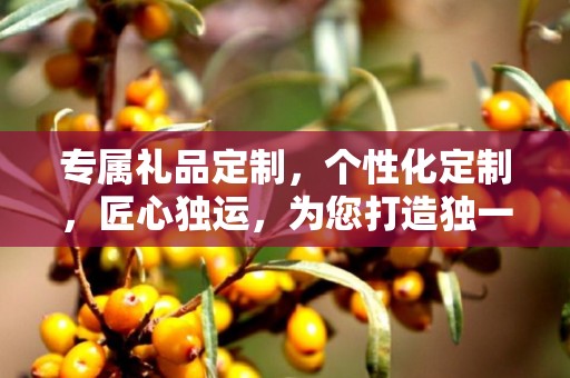 专属礼品定制，个性化定制，匠心独运，为您打造独一无二的企业礼品